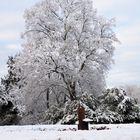 So hätte ich gerne den Winter … 