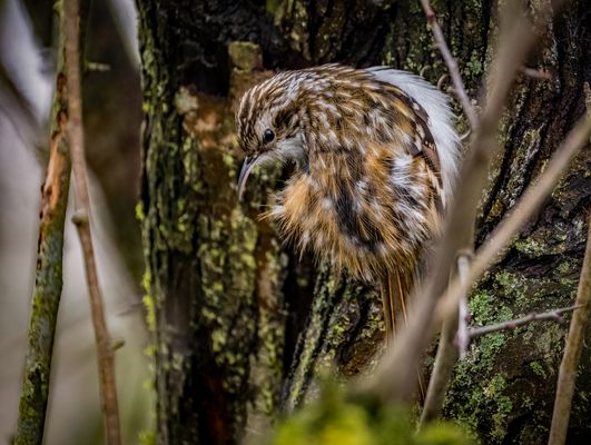 "So hatte ich GARTI auch noch nicht"