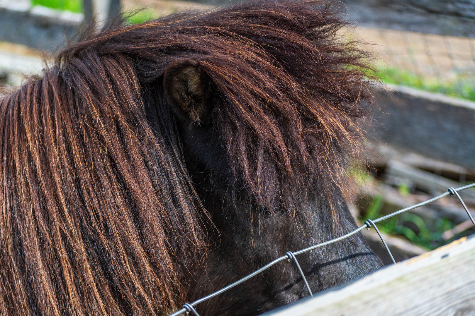 So I asked her, 'who does your hair?'