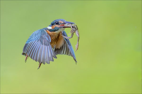 So ist das Leben....