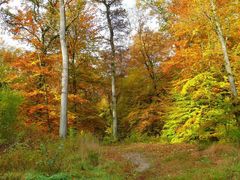 so ist der GOLDENE OKTOBER