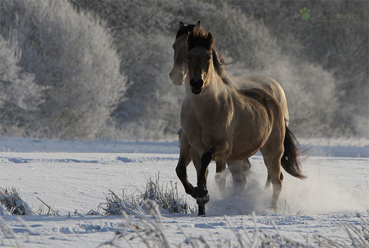 So ist Winter toll!!