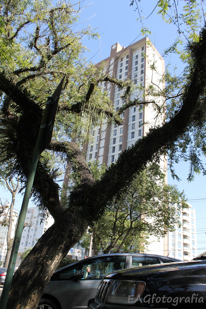 São José dos Campos - SP 3