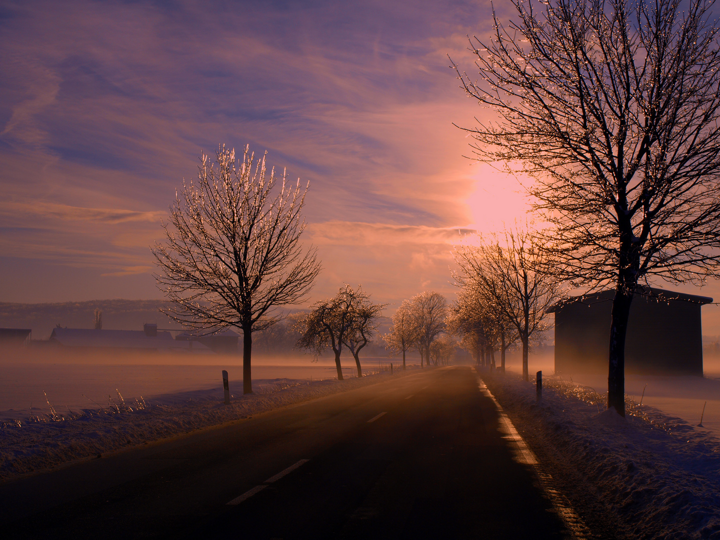 So Kann Auch Die Kalte Schon Aussehen Foto Bild Jahreszeiten Winter Tiere Und Natur Bilder Auf Fotocommunity
