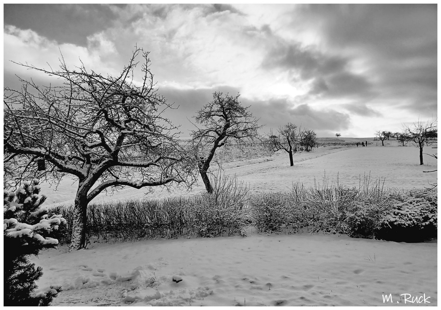 So kann ein Wintertag im Januar 24 auch mal ausschauen !