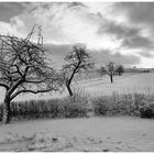 So kann ein Wintertag im Januar 24 auch mal ausschauen !