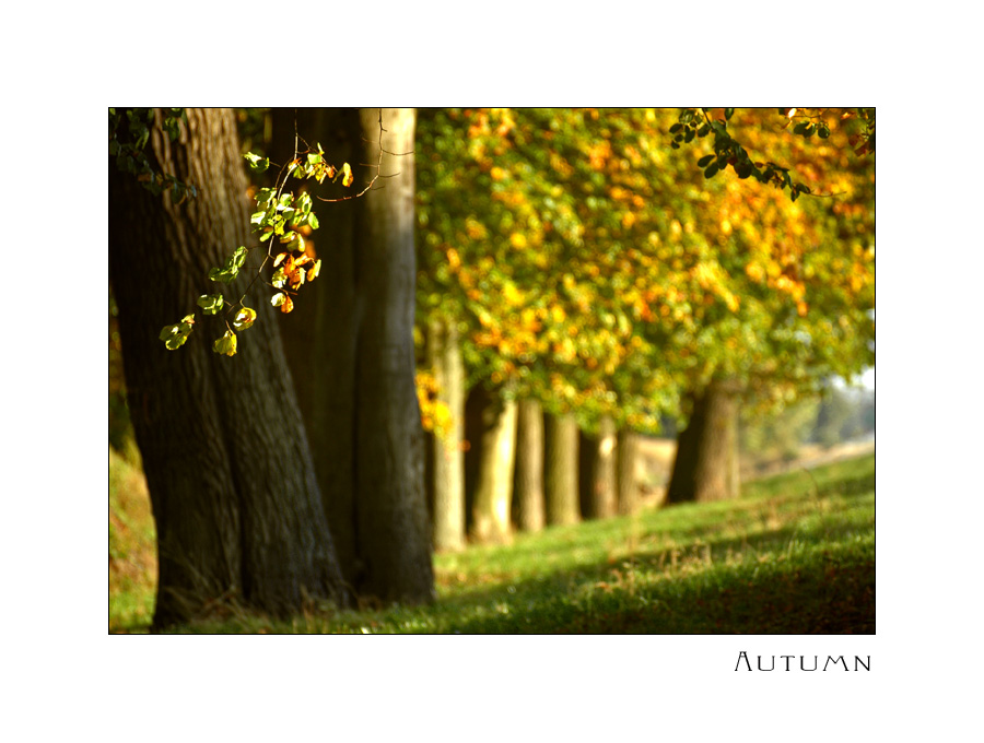 So kann er bleiben, der Herbst!!