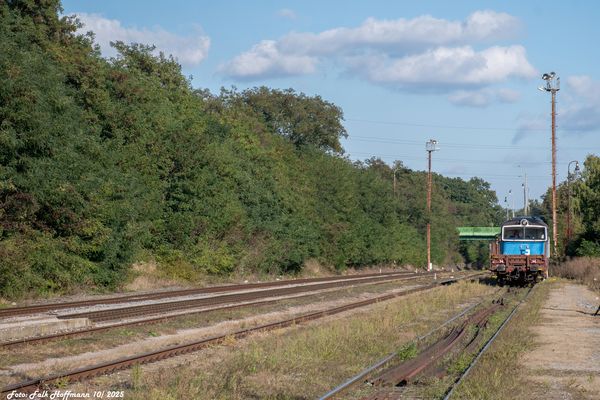 So kann man es selten sehen