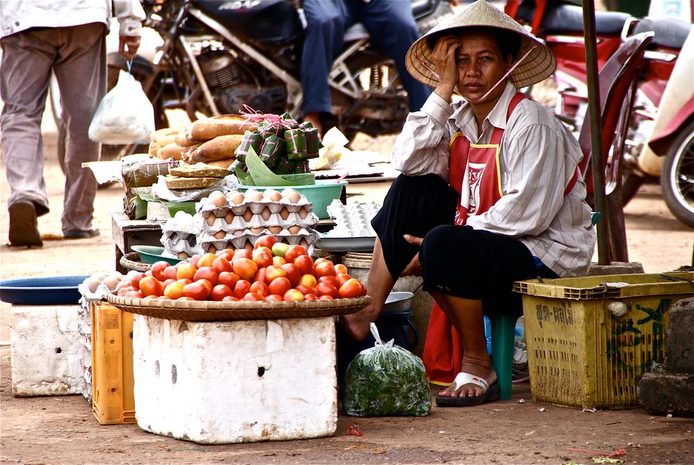 so kauft doch tomaten, pakse südlaos 2010