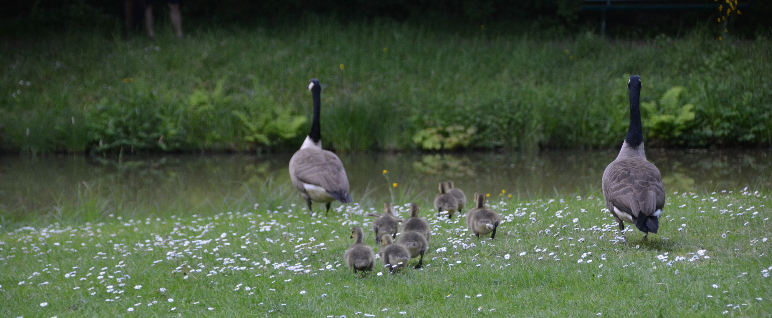 So Kinder, nun aber ans Wasser!