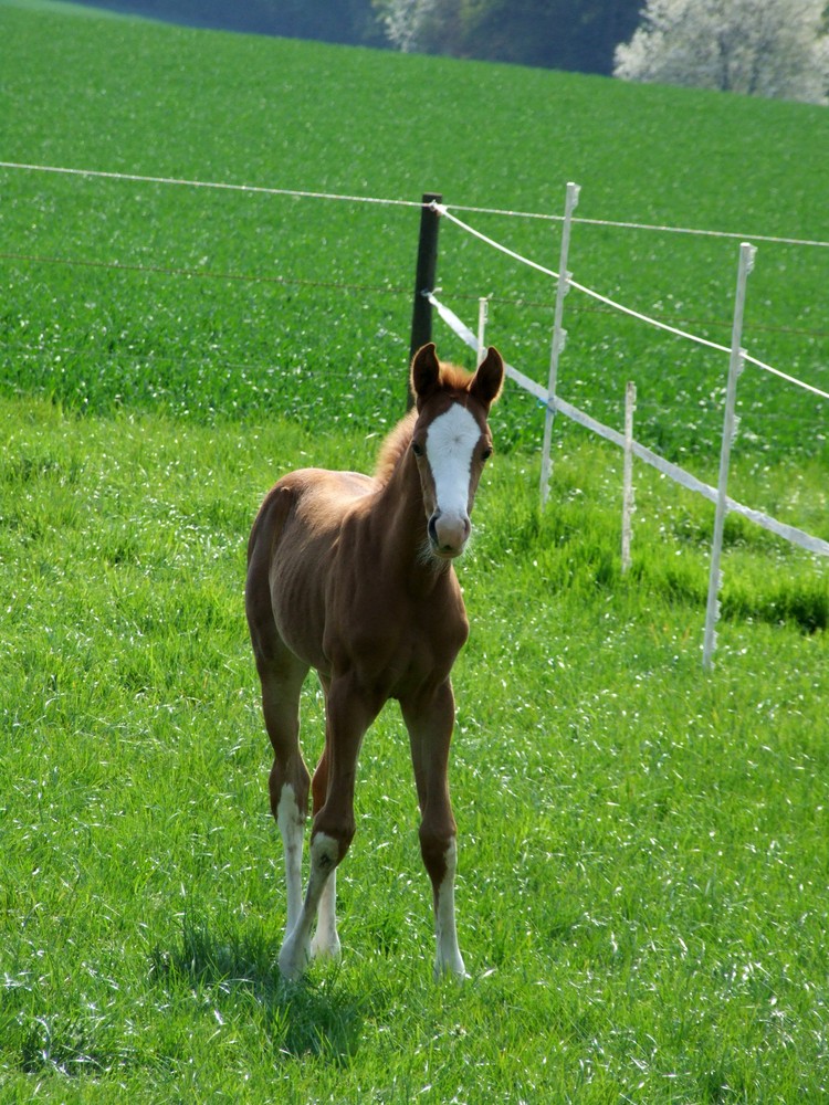 so klein und doch so neugierig