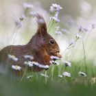 So könnte der Frühling aussehen.