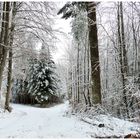 So könnte der Winter bis zum März hinein andauern .