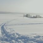 So könnte der Winter werdem!