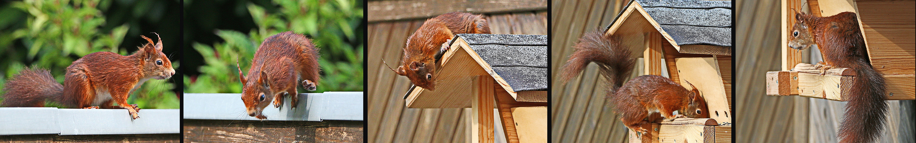 so komme ich ans Futterhaus