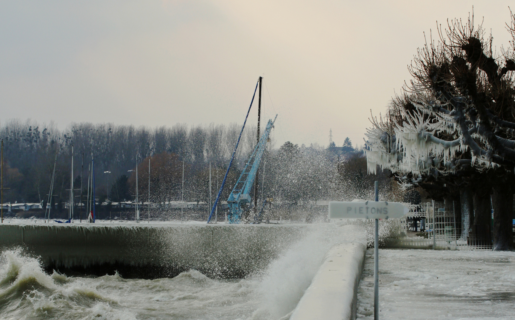 So kommen die Eiszapfen auf die Bäume...