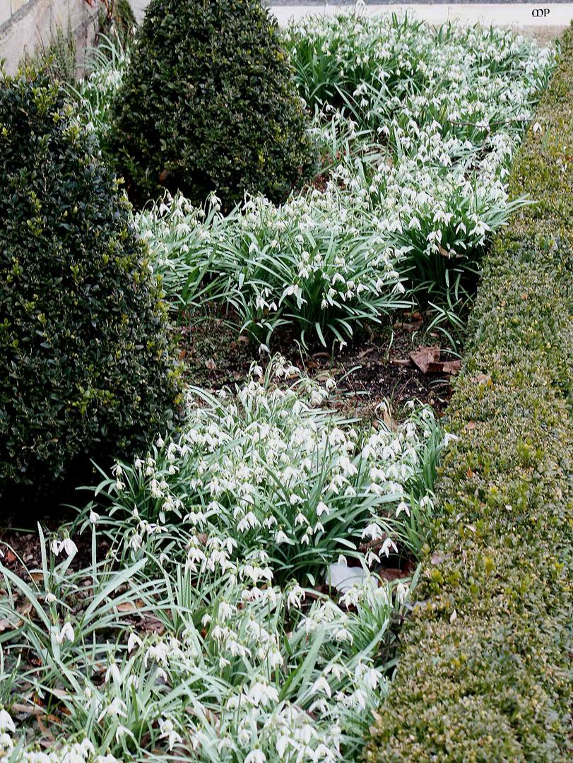 so lässt sich der Frühling gut aushalten