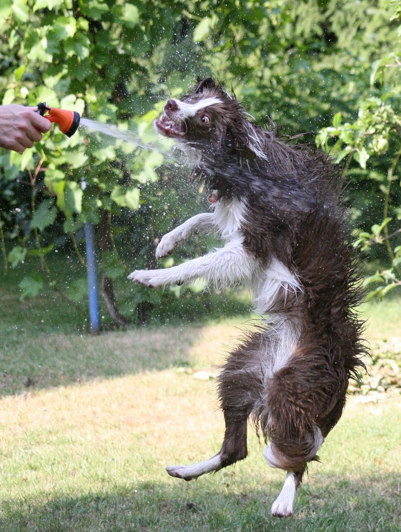 So läßt sich der Sommer aushalten