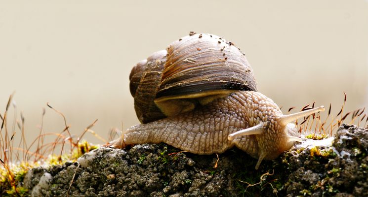 So langsam brauche ich ein Winterquartier....