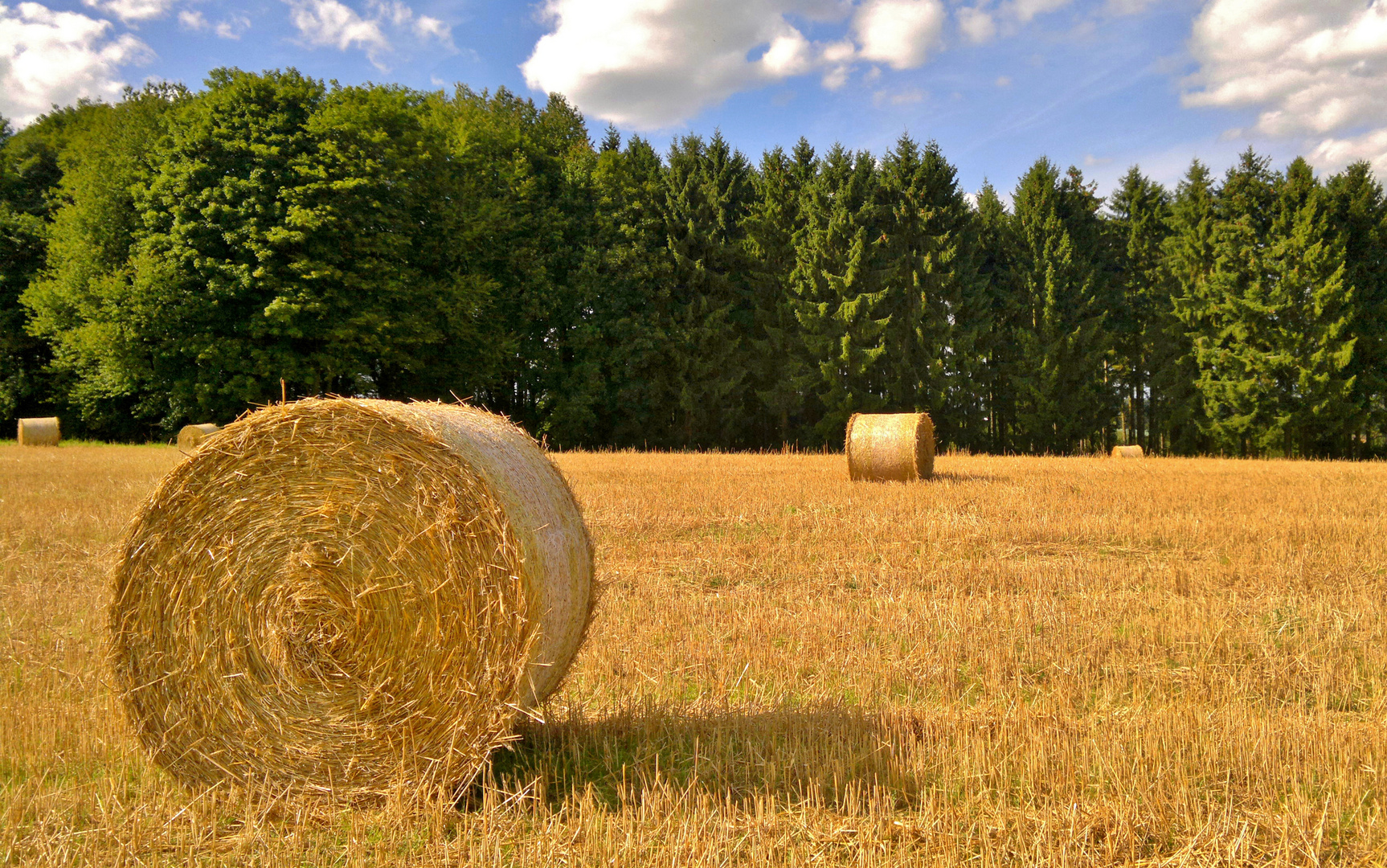 So langsam geht der Sommer...