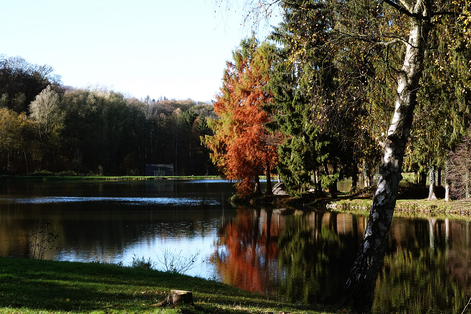 so langsam klingt der Herbst aus