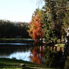 so langsam klingt der Herbst aus