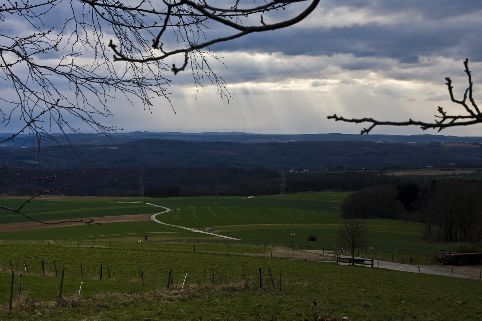 So langsam kommt der Frühling