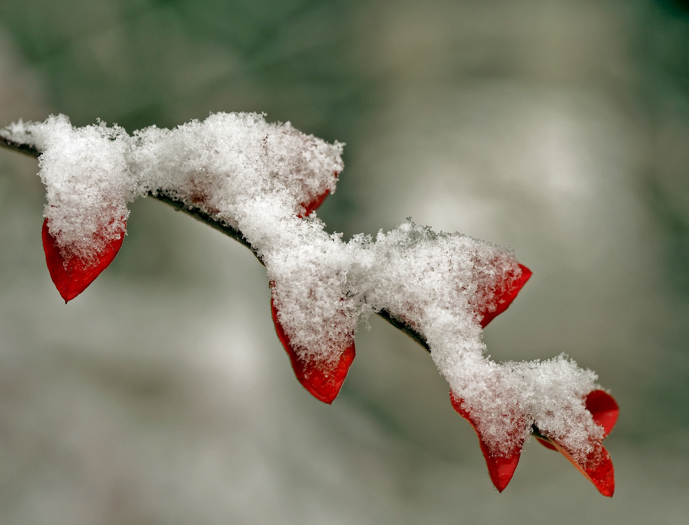 So langsam kommt der Winter… - L'automne et l'hiver en même temps...