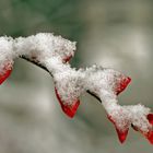 So langsam kommt der Winter… - L'automne et l'hiver en même temps...