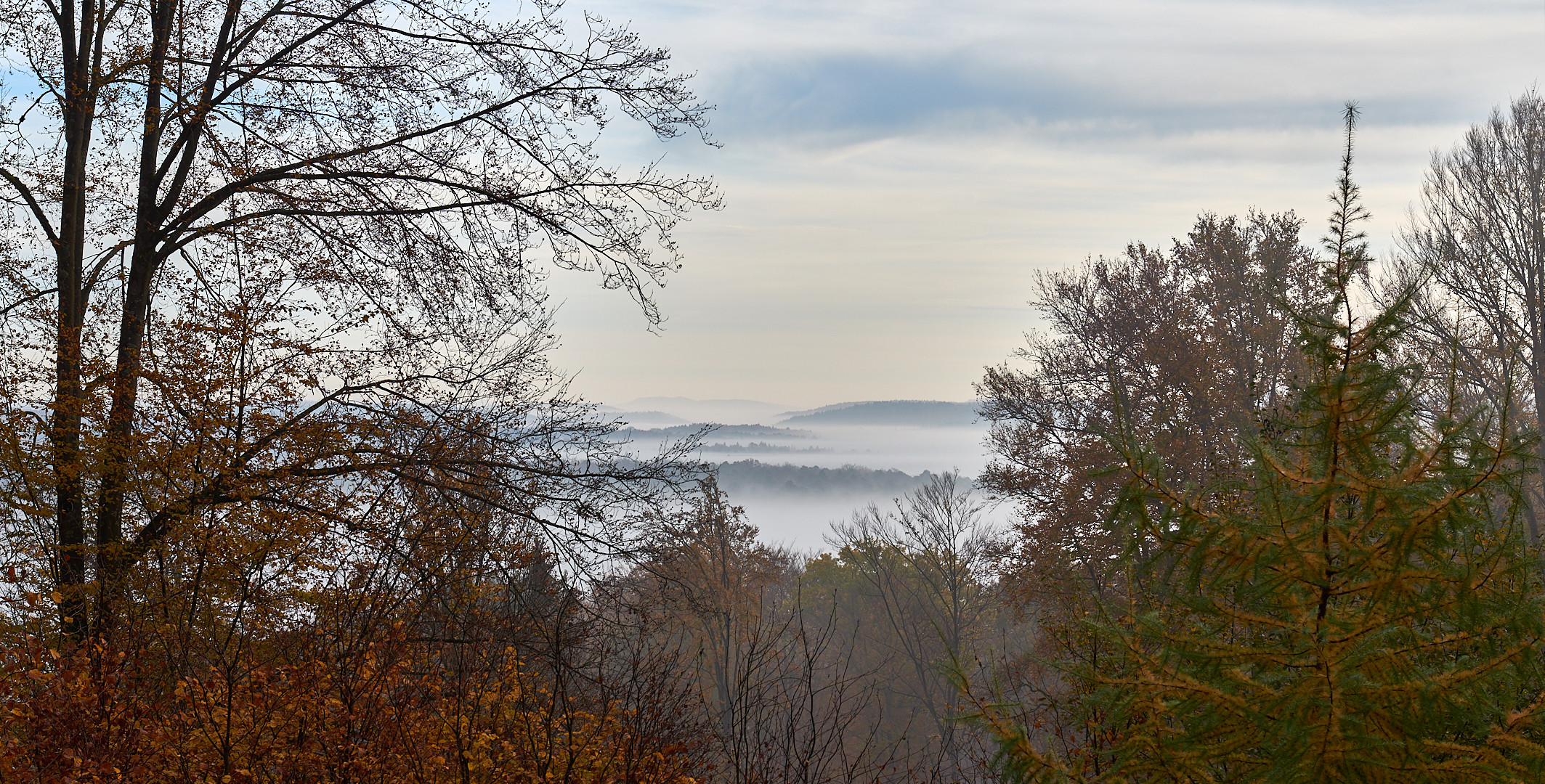 So langsam lichtet sich der Wald, Ruhe und Stille herrschte an dem Morgen...