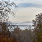 So langsam lichtet sich der Wald, Ruhe und Stille herrschte an dem Morgen...