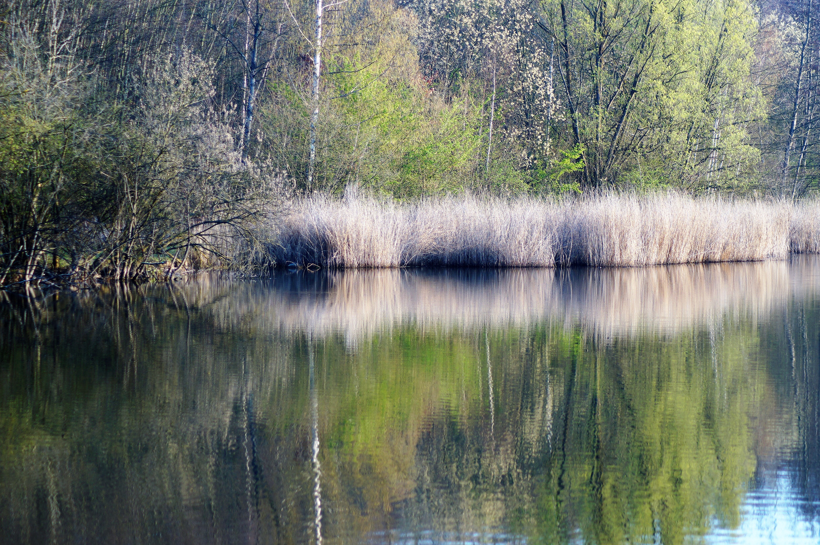 So langsam wird es wieder Grün am See