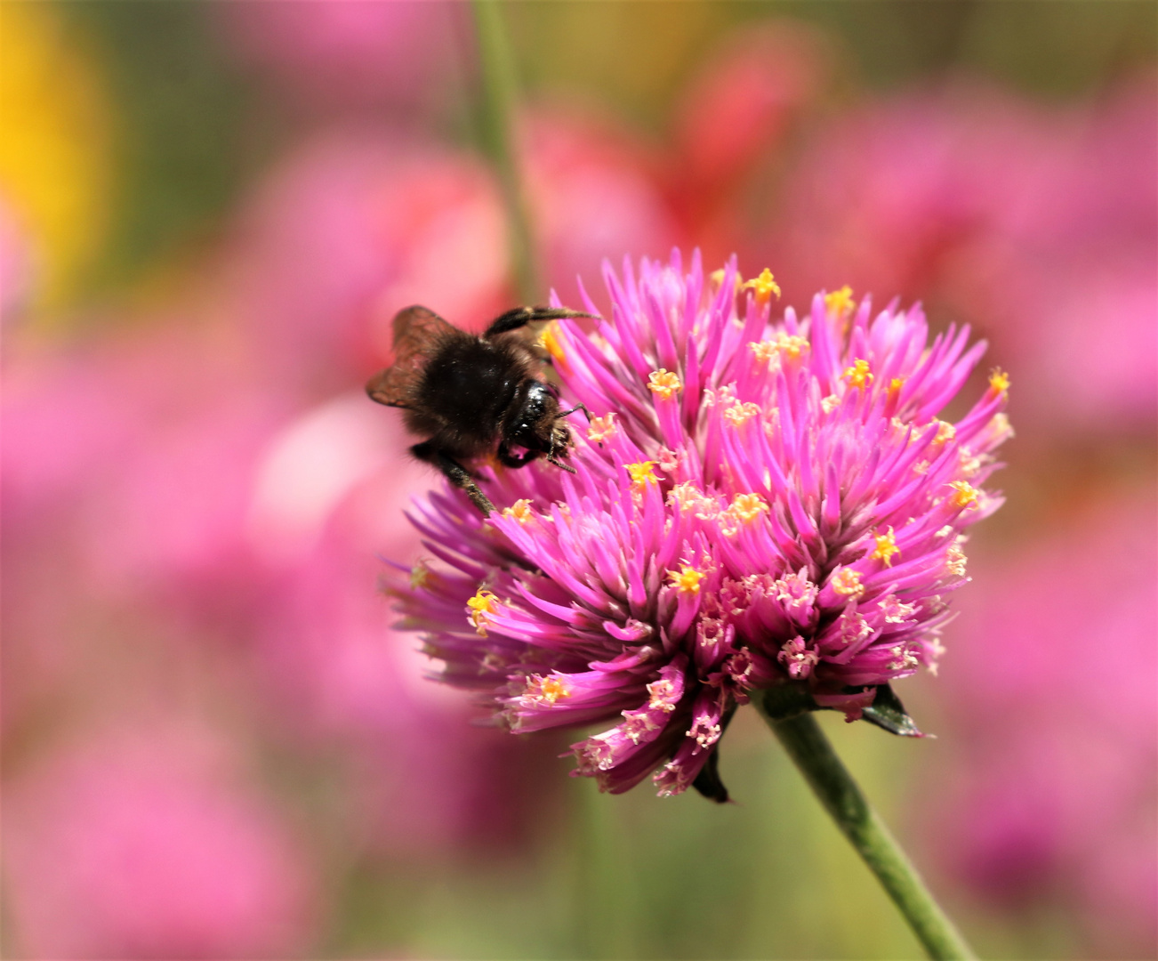 So lecker! Foto &amp; Bild | projekte, thementage, samstag ...