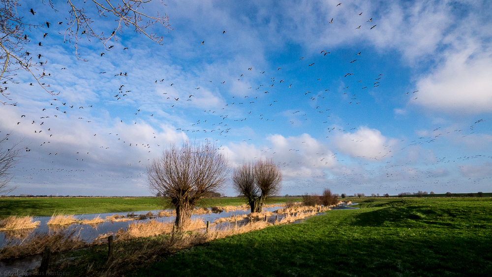 So liebe ich den Niederrhein (2)