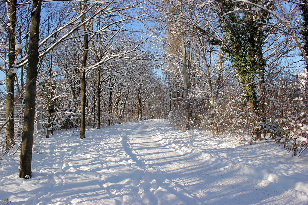 So liebt man den Winter