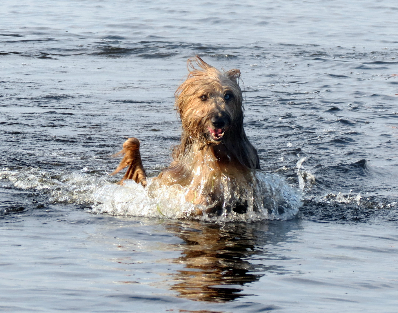 So macht der Sommer Spaß :)