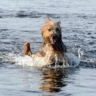 So macht der Sommer Spaß :)