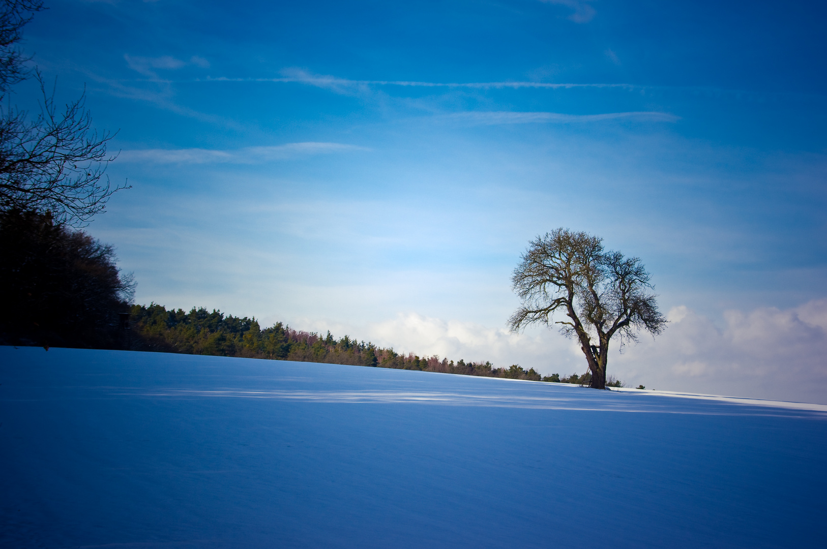 So macht der Winter Spass