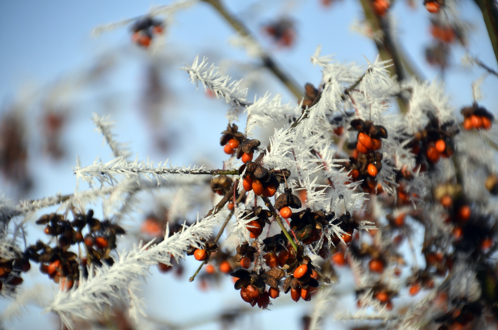 so macht der Winter Spaß