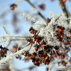 so macht der Winter Spaß