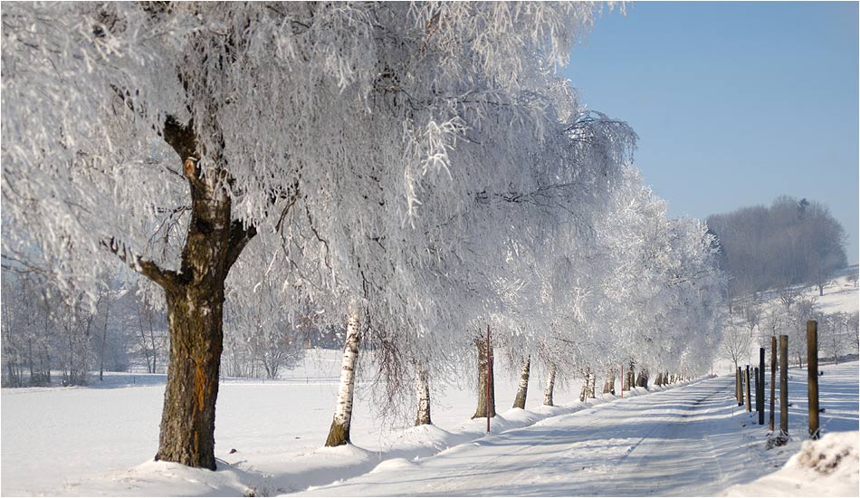 So macht der Winter Spaß :-)