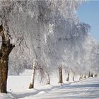 So macht der Winter Spaß :-)