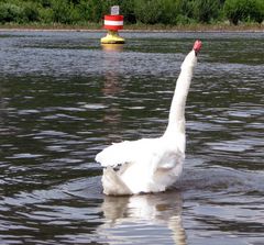 So macht Sommer Spaß!