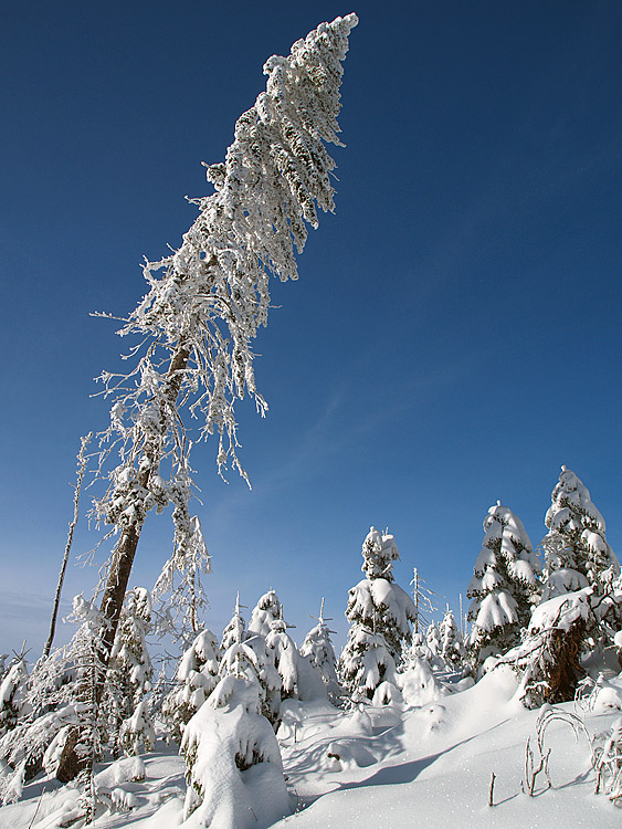 so macht Winter Spaß ...