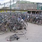 So many bikes!!