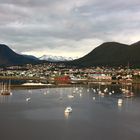 So Many Boats .... in the Ushuaia Harbour