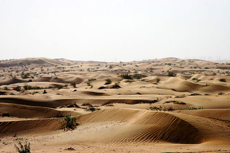 So many sand dunes