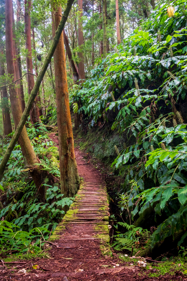 São Miguel, Azoren