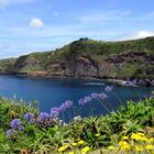 São Miguel ist die größte Insel der Azoren