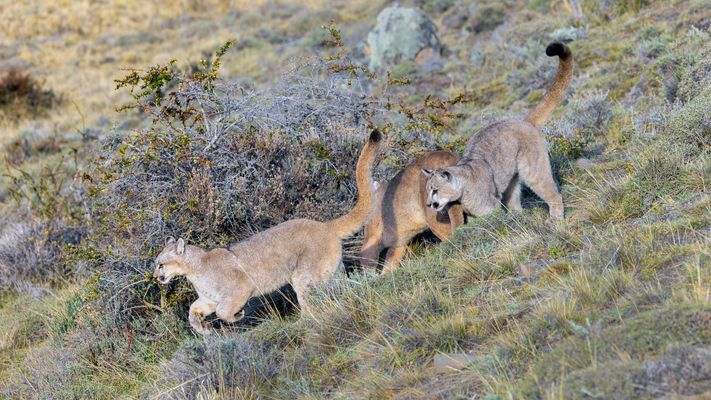 So mitten aus dem Leben...